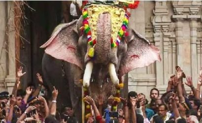 തെച്ചിക്കോട്ടുകാവ് രാമചന്ദ്രനെ വിളംബരത്തിന്  എഴുന്നെള്ളിക്കാമെന്ന്  നിയമോപദേശം: