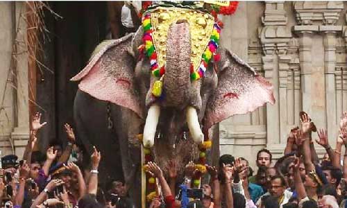 തെച്ചിക്കോട്ടുകാവ് രാമചന്ദ്രനെ വിളംബരത്തിന്  എഴുന്നെള്ളിക്കാമെന്ന്  നിയമോപദേശം: