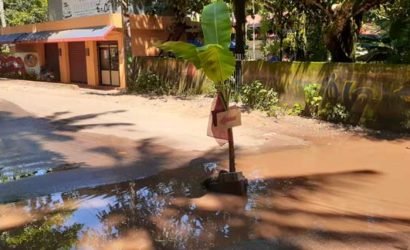 ഇലകമൺ കൊച്ചുപാരിപ്പള്ളി മുക്കിനു സമീപം കരവാരത്ത് : റോഡിലെ വെള്ളക്കെട്ടിൽ വാഴകൃഷി നടത്തി നാട്ടുകാർ: