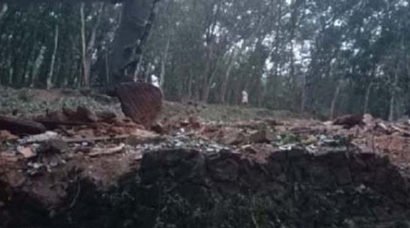 മലയാറ്റൂര്‍ പാറമട സ്ഫോടനം;  തീവ്രവാദ ഗ്രൂപ്പുകൾക്ക്  പങ്കുണ്ടോയെന്നു  സംശയം; എന്‍ഐഎ അന്വേഷണം വേണമെന്ന് പരിസ്ഥിതി സംരക്ഷണ സമിതി: