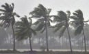 കേരളത്തില് വീണ്ടും ശക്തമായ മഴയ്ക്ക് സാദ്ധ്യത: