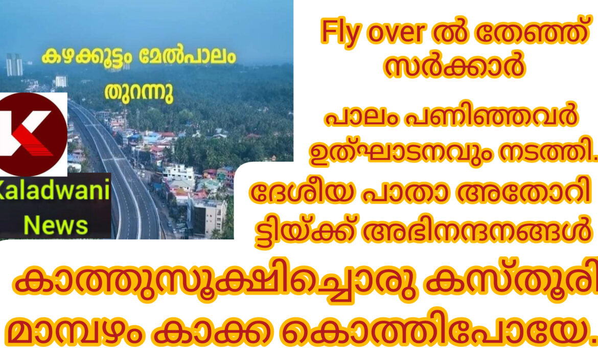 കലക്ക വെള്ളത്തിൽ മീൻ പിടിക്കാനിരുന്ന കേരള സർക്കാർ മനപ്പായസം കുടിച്ചത് വെറുതെയായി: