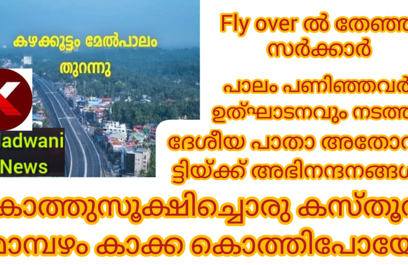 കലക്ക വെള്ളത്തിൽ മീൻ പിടിക്കാനിരുന്ന കേരള സർക്കാർ മനപ്പായസം കുടിച്ചത് വെറുതെയായി: