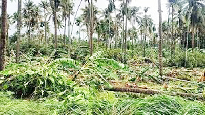 തൃശൂരിൽ മിന്നൽച്ചുഴലി;ലക്ഷങ്ങളുടെ നാശനഷ്ടം: