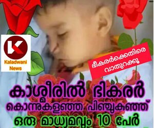 പിഞ്ചു കുഞ്ഞിനെ കൊന്നിട്ടും അറിയാത്ത പോലെ മാമ മാധ്യമങ്ങൾ: