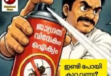 ചൂലിൽ നിന്നും പാറ്റയിലേക്ക് രൂപാന്തരം; ജനത്തെ കബളിപ്പിച്ച് ദിപ്കെ