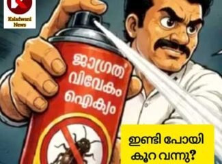 ചൂലിൽ നിന്നും പാറ്റയിലേക്ക് രൂപാന്തരം; ജനത്തെ കബളിപ്പിച്ച് ദിപ്കെ